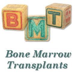 three children's blocks with the words Bone Marrow Transplants 