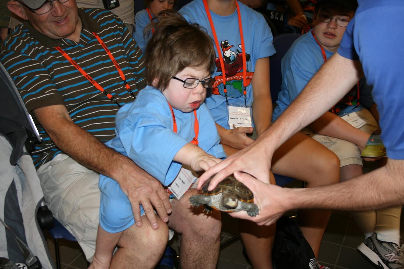 an image of a child touching a turtle 