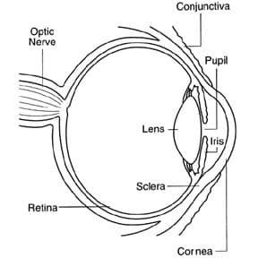 eye diagram image